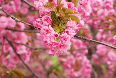 徐州云龙区5线下个人借款平台一站式服务，轻松解决资金难题