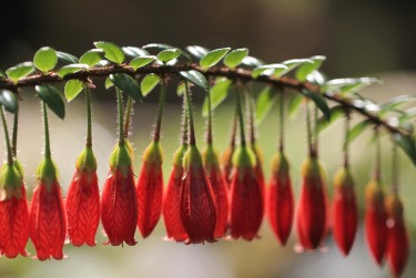 徐州云龙区5零用贷短借：轻松解决临时资金需求