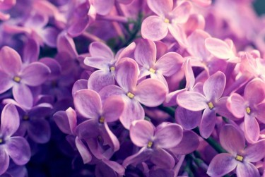 徐州云龙区5企业急用钱贷款攻略：快速融资解燃眉之急